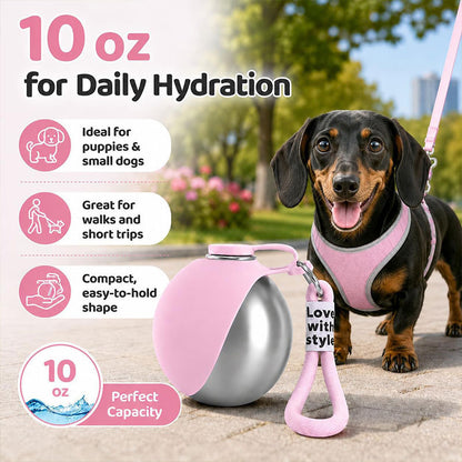 🐶 Foldable Dog Water Bottle 💦 | 304 Stainless Steel Travel Cup with Hook & No-Waste Water Return System ✨