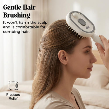 🔥Electric Spray Air Cushion Massage Comb, 2026 New 2 in 1 Misting Detangling Brush for All Hair, Rechargeable Hair Straightener Steam Brush, Wet Electric Hairbrush Air Cushion Mister for Women